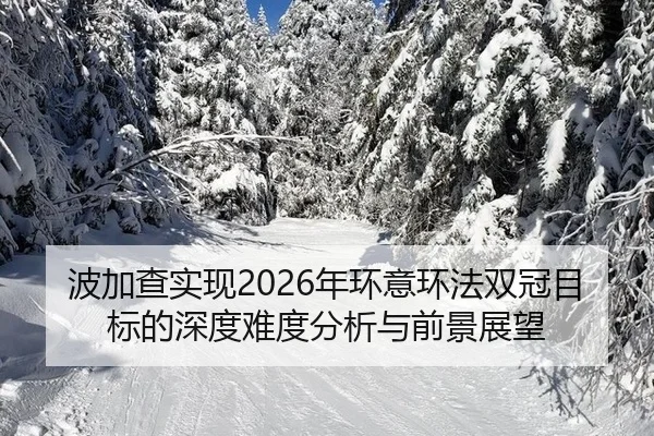 bo-jia-cha-shi-xian-nian-huan-yi-huan-fa-shuang-guan-mu-biao-de-shen-du-nan-du-fen-xi-yu-qian-jing-zhan-wang-2-929.jpg